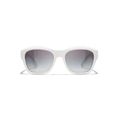 6055B Sole Sunglasses