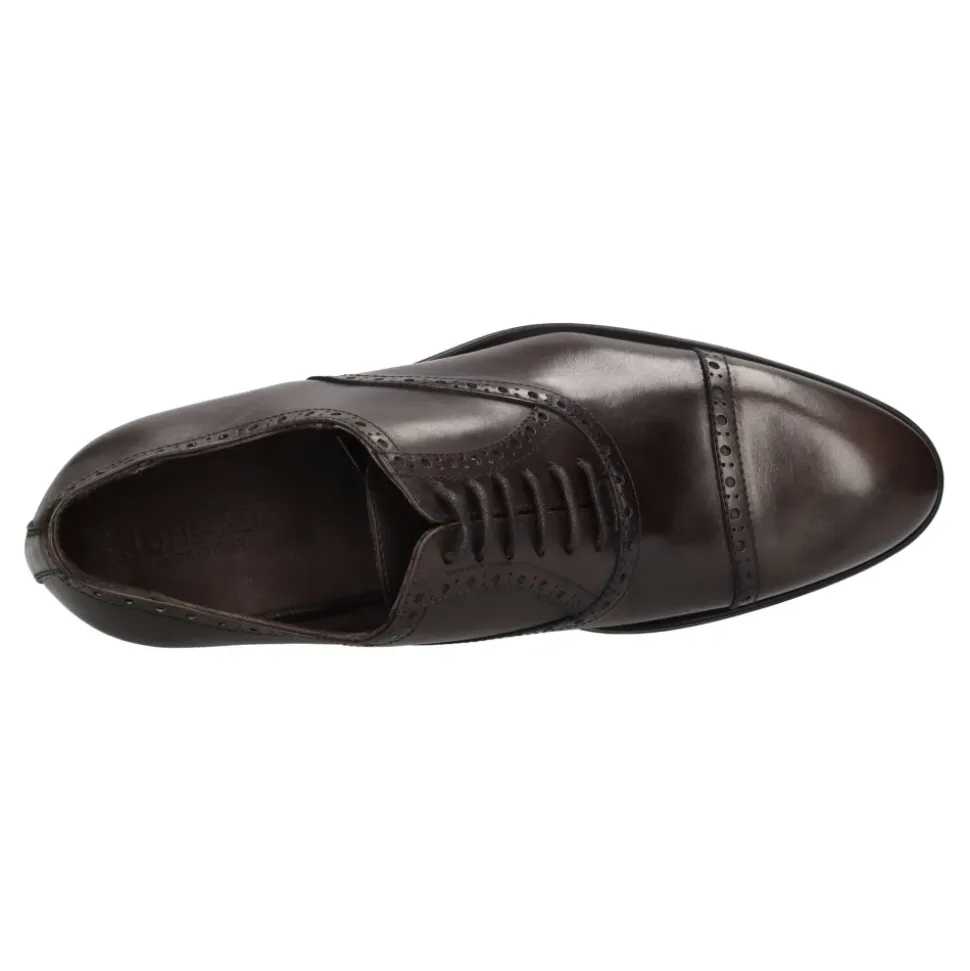 Business Shoes