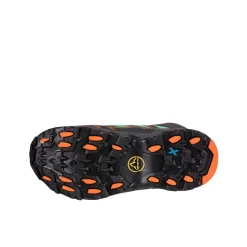 Buty Raptor II Mid GTX