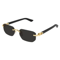 CT0622S Okulary Przeciwsłoneczne
