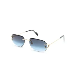 CT0468S 002 Sunglasses