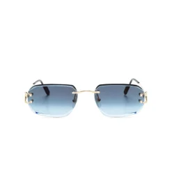 CT0468S 002 Sunglasses