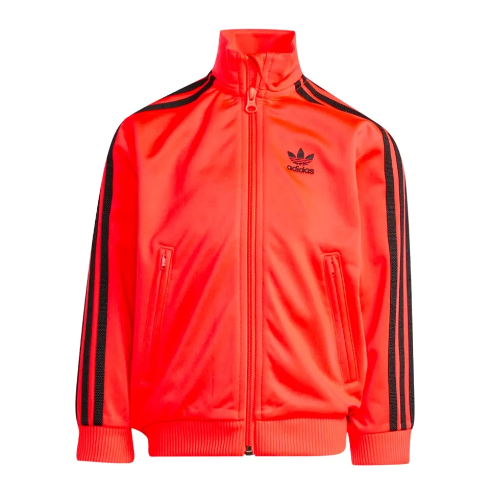 Dres Firebird