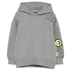 Hoodie Iconic