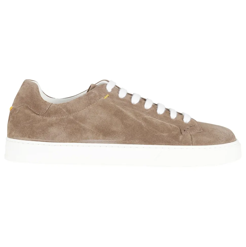 Sneaker Suede