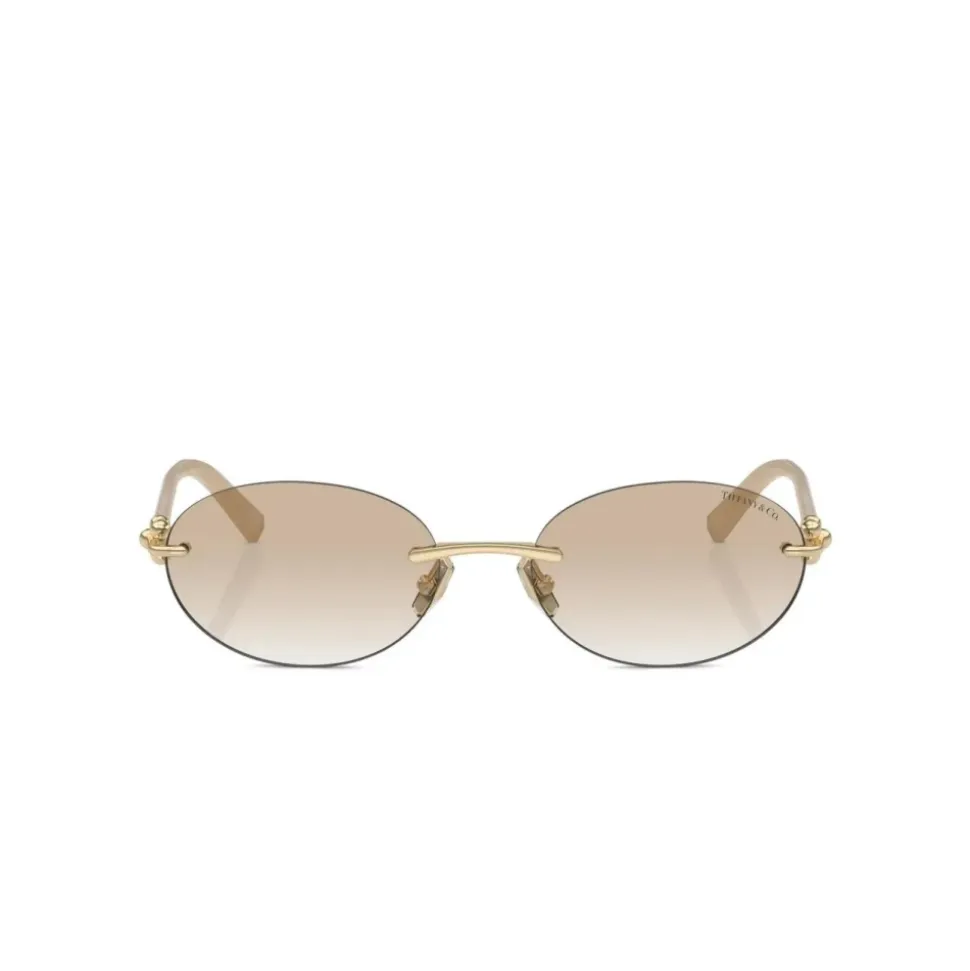 TF3104D Sunglasses